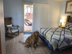 Un perro sentado sobre un piso de baldosas junto a una cama con colcha, una silla de madera y una puerta que da al exterior.