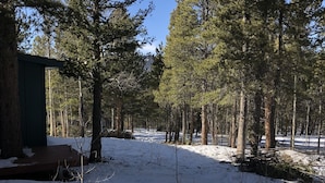 Uma floresta coberta de neve com um deck de madeira e uma pequena cabana.