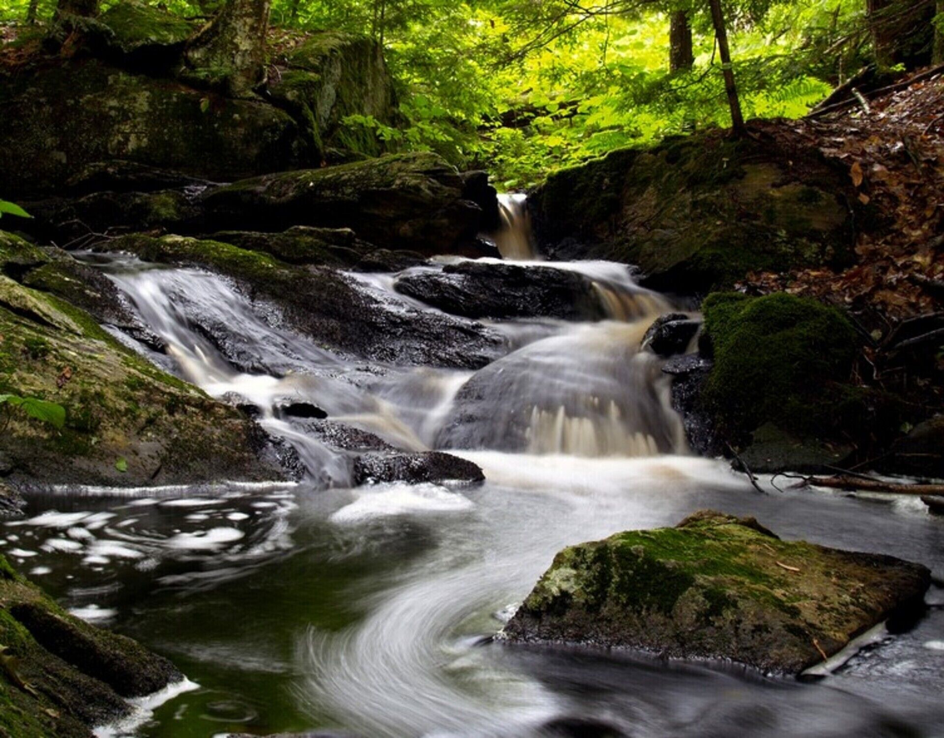 Uma cachoeira em uma área florestal com rochas cobertas de musgo e vegetação densa.