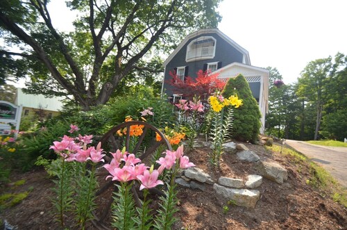 Cottage 7 - Year Round - Pet Friendly - Stand Alone 1 Bedroom / 1 Bath