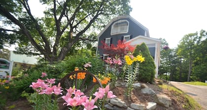 Cottage 7 - Year Round - Pet Friendly - Stand Alone 1 Bedroom / 1 Bath