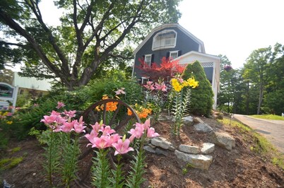 Cottage 7 - Year Round - Pet Friendly - Stand Alone 1 Bedroom / 1 Bath