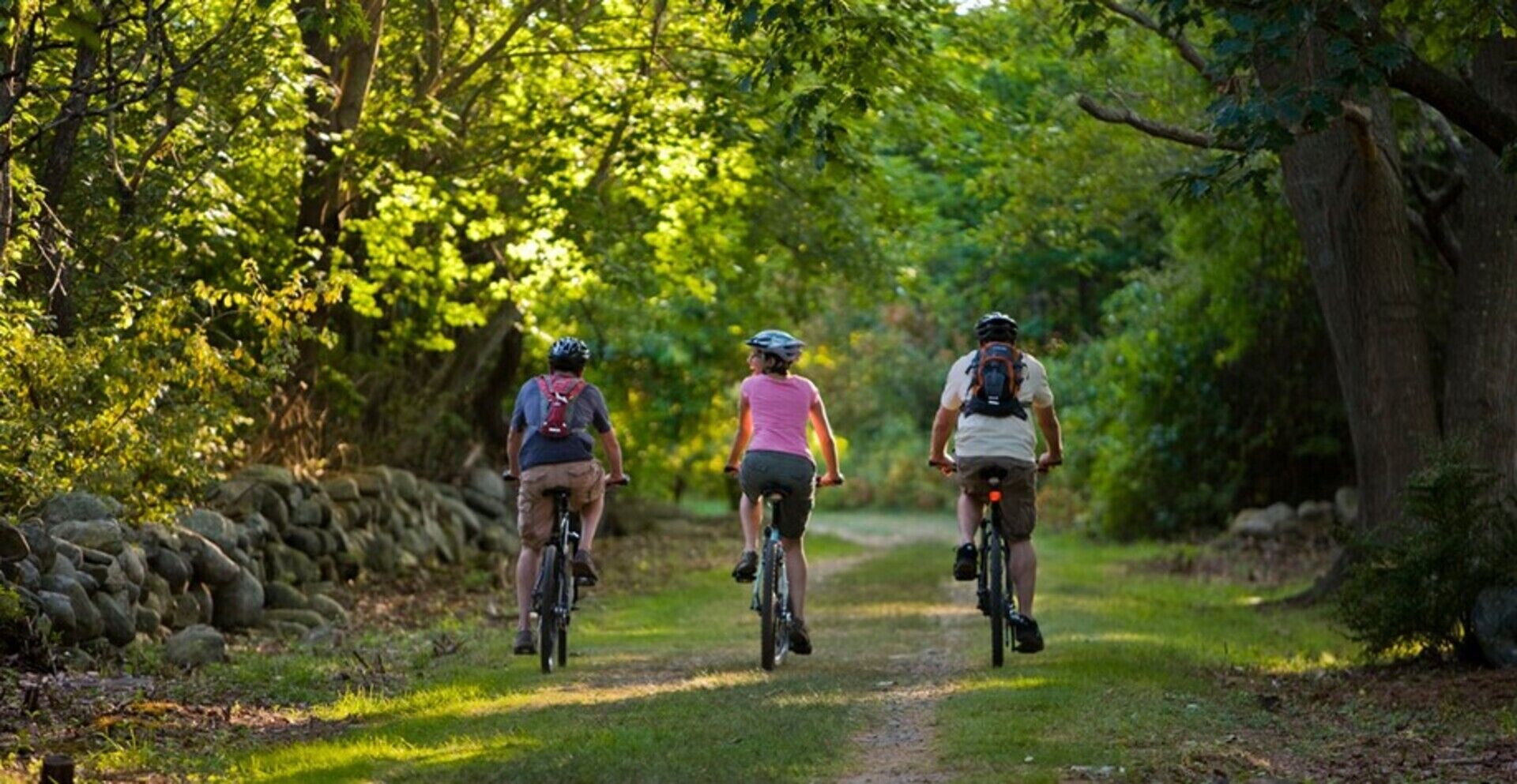 Three cyclists on a narrow, tree-lined path.