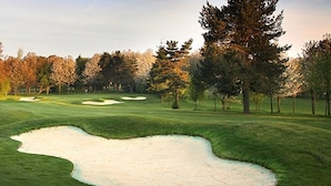 Un parcours de golf avec des bunkers de sable et des arbres.