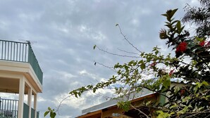 Un'area esterna coperta con una pergola in legno, un tavolo con sedie e un vaso con una pianta di aloe.