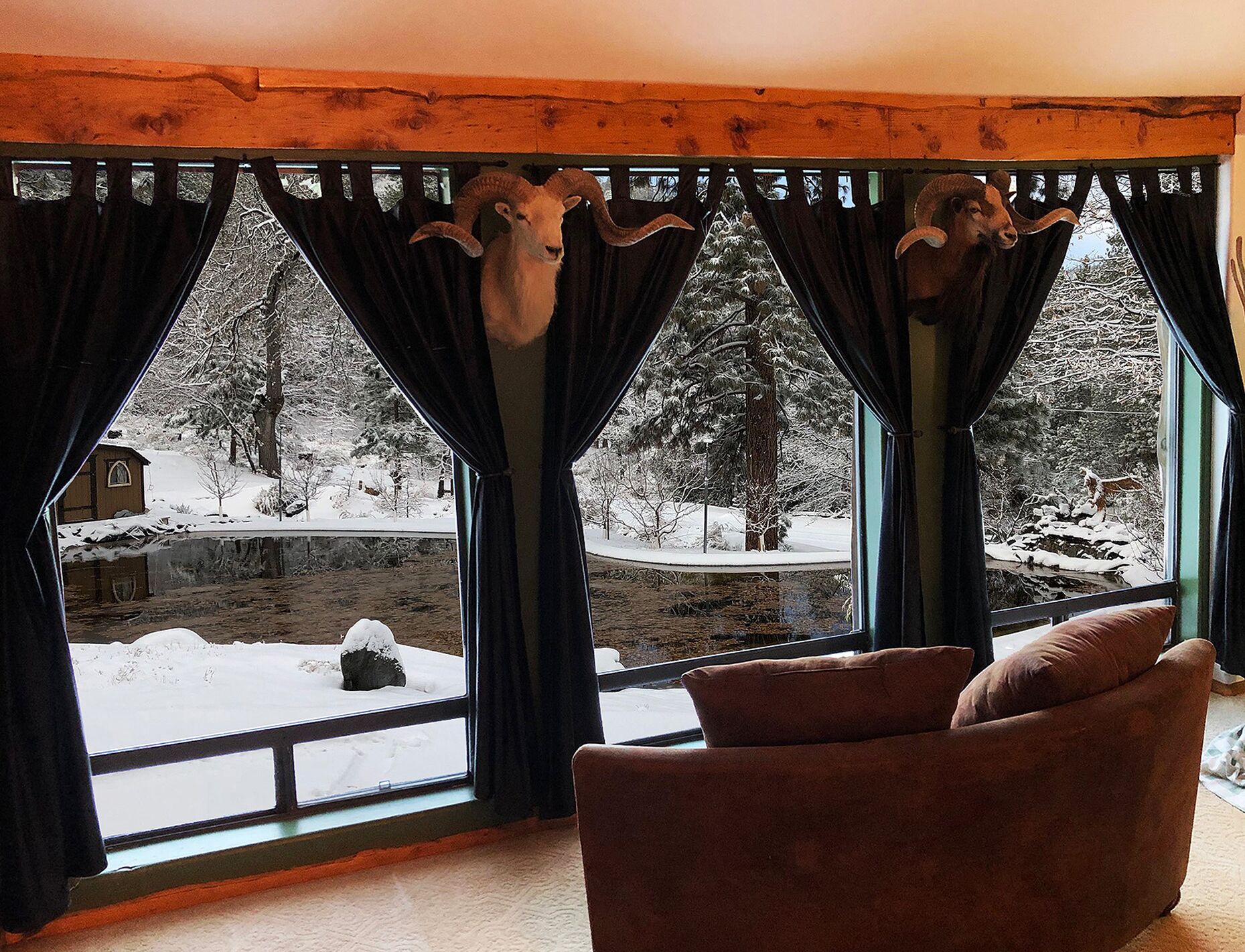Bear Creek Studio