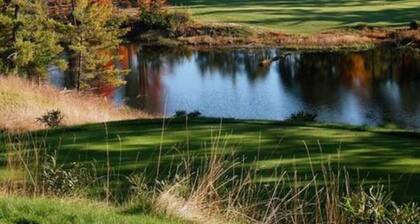 Cottage 11 - Year Round - Pet Friendly - 1 Bed / 1 Bath w/ Private Courtyard