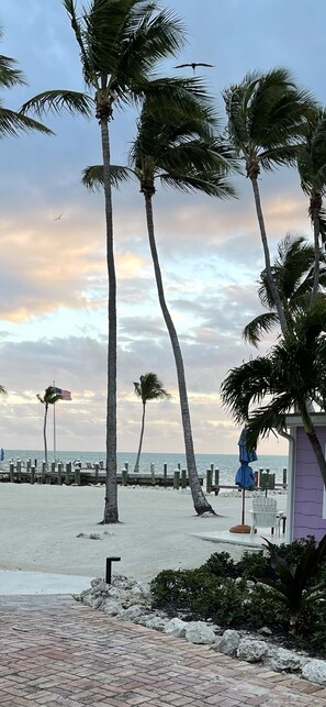 Nær stranden og solsenger
