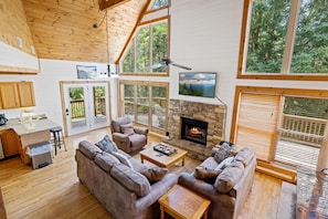 TV, fireplace, video games, DVD player