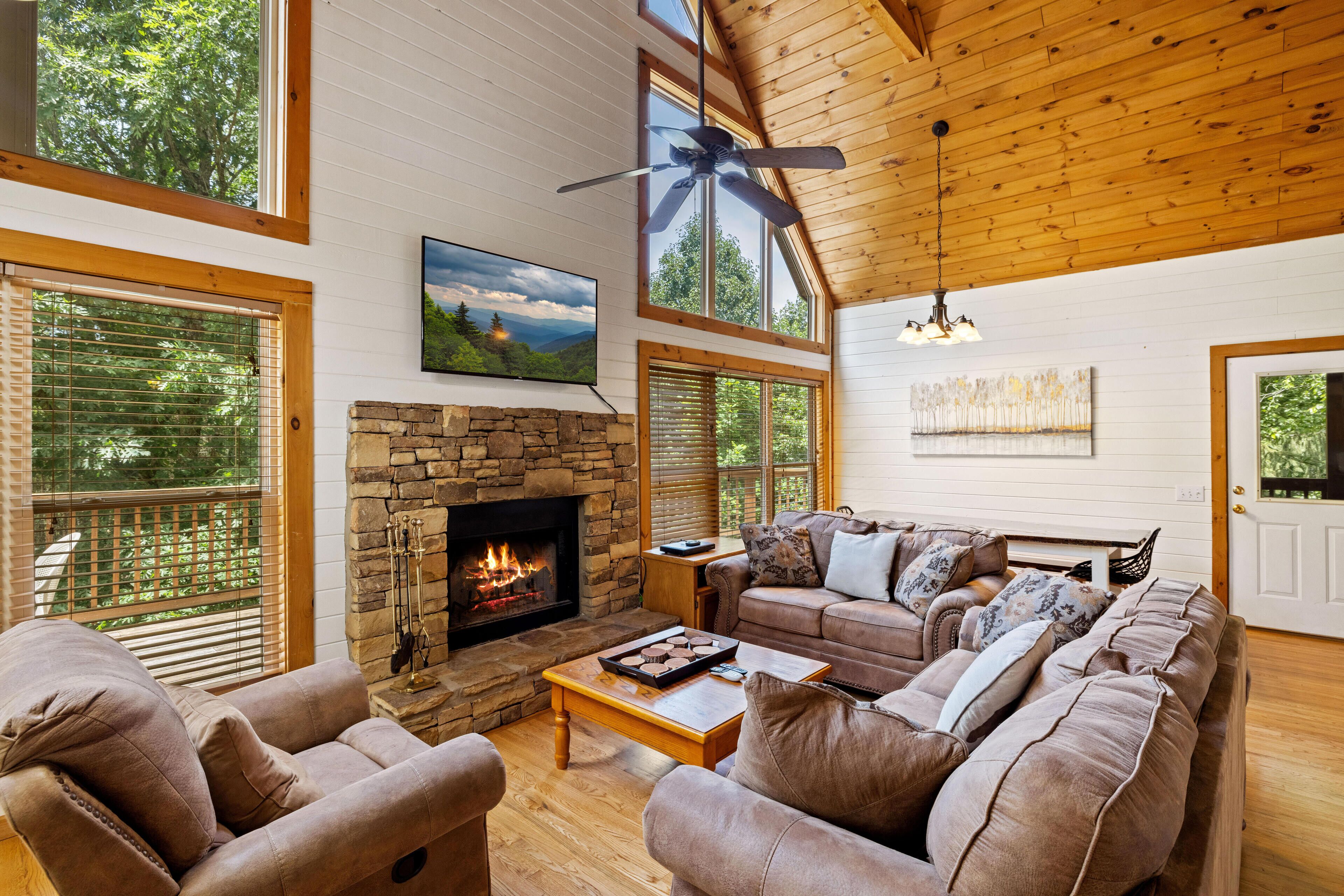 TV, fireplace, video games, DVD player