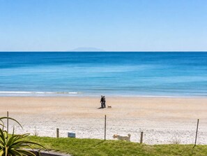 A beach with a person and a dog, a clear sky, and a distant mountain.
