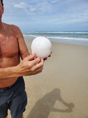 Am Strand, Liegestühle, Strandtücher