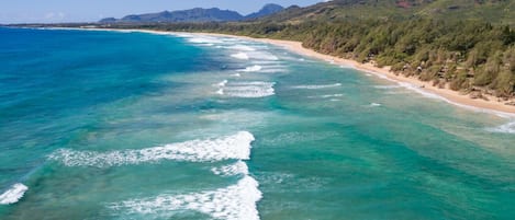 在海滩、沙滩椅