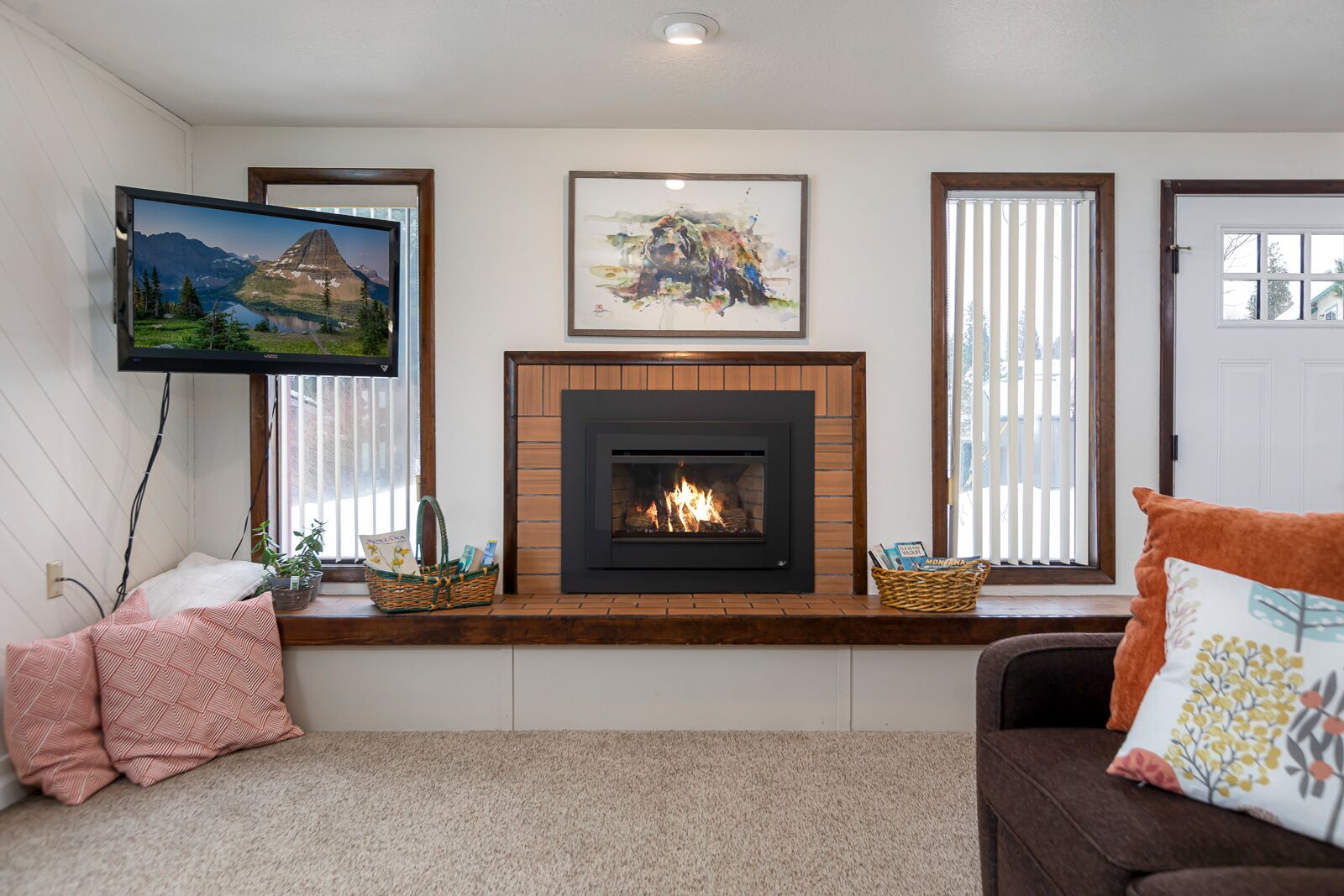 Smart TV, fireplace, books