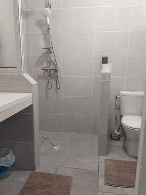 Shower, hair dryer, towels