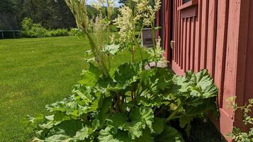 DĂ©tail de lâextĂ©rieur