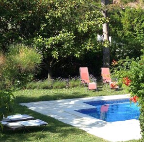 Pool - House with pool view (Tulette)