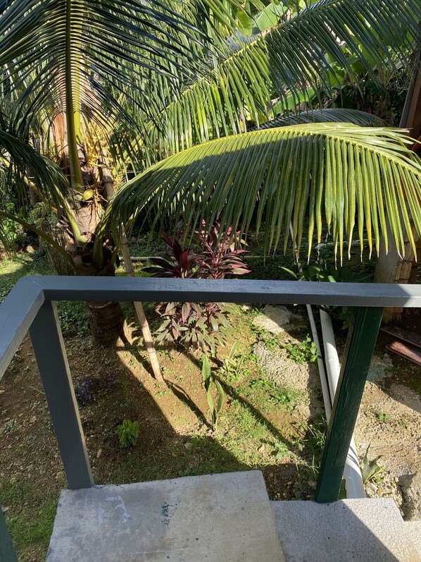 Terrain de l’hébergement 