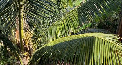 If you really want to get away from the hassle this is place 2 b nature house