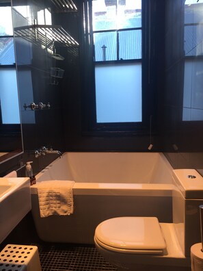 Ensemble baignoire-douche, séchoir à cheveux, serviettes fournies, savon