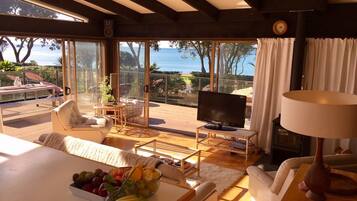 Télévision, cheminée, chaßne hi-fi