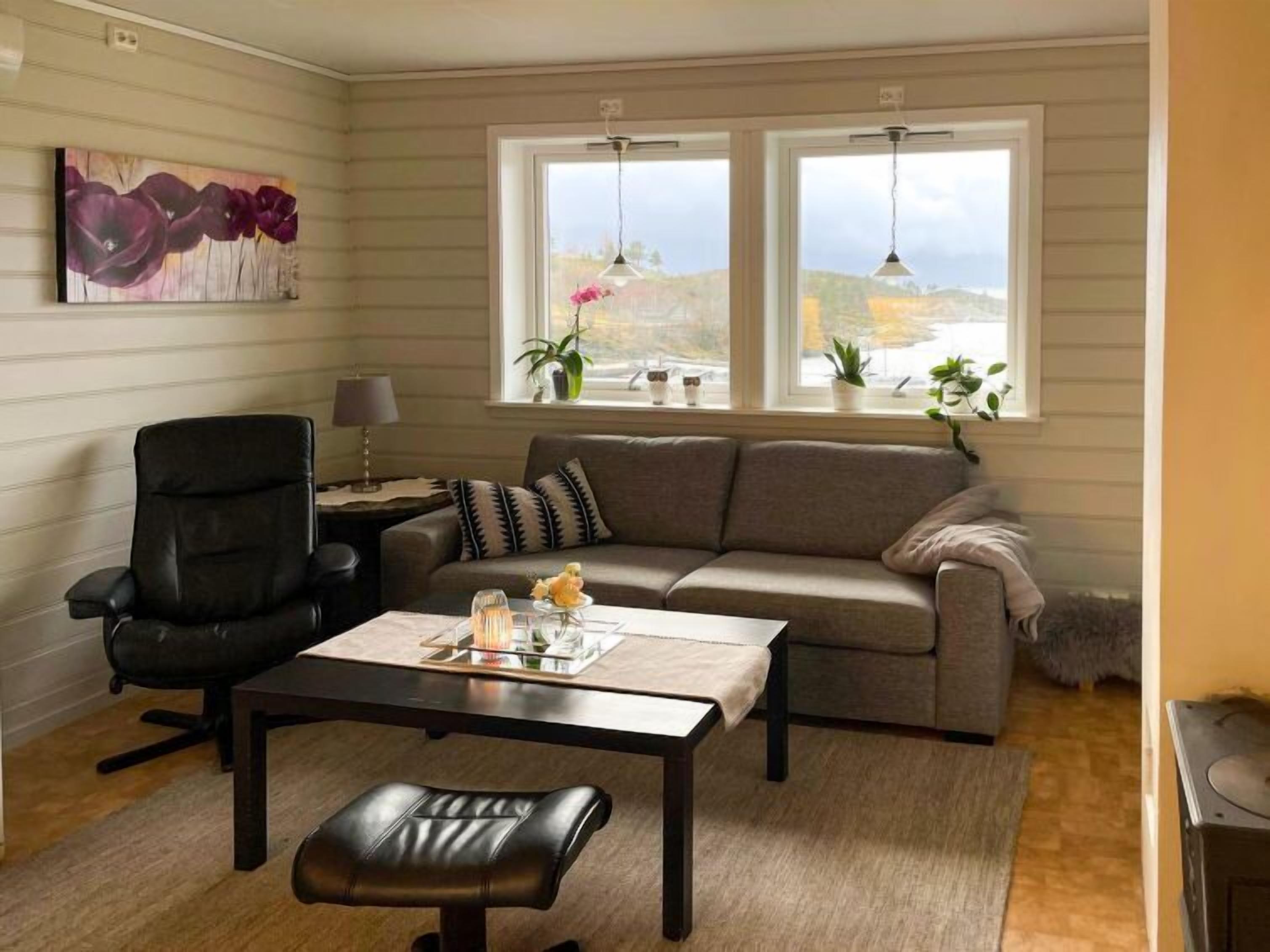 تلفزيون، مدفأة