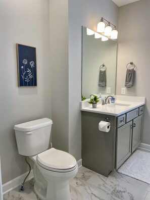 Combined shower/bathtub, hair dryer, towels, toilet paper
