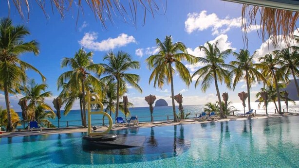 A clear blue pool with a view of the ocean and palm trees. - Gray Diamond Studio (Le Diamant)