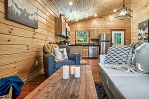 TV, fireplace, video games