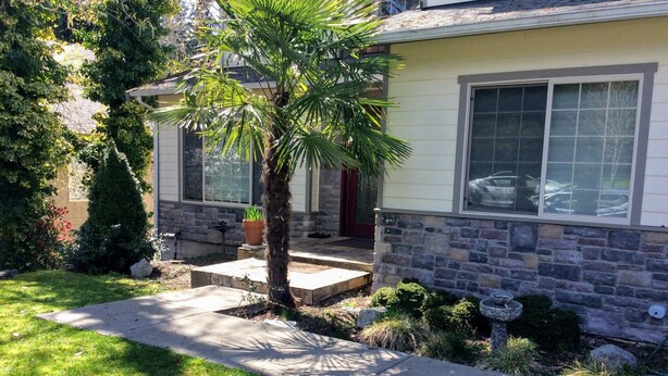 A single-story house with a stone facade, a front porch, and a small garden area with a palm tree.