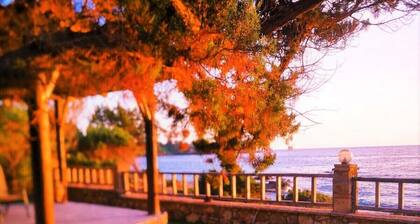Hidden house & private beach access to the Ionian Sea.
