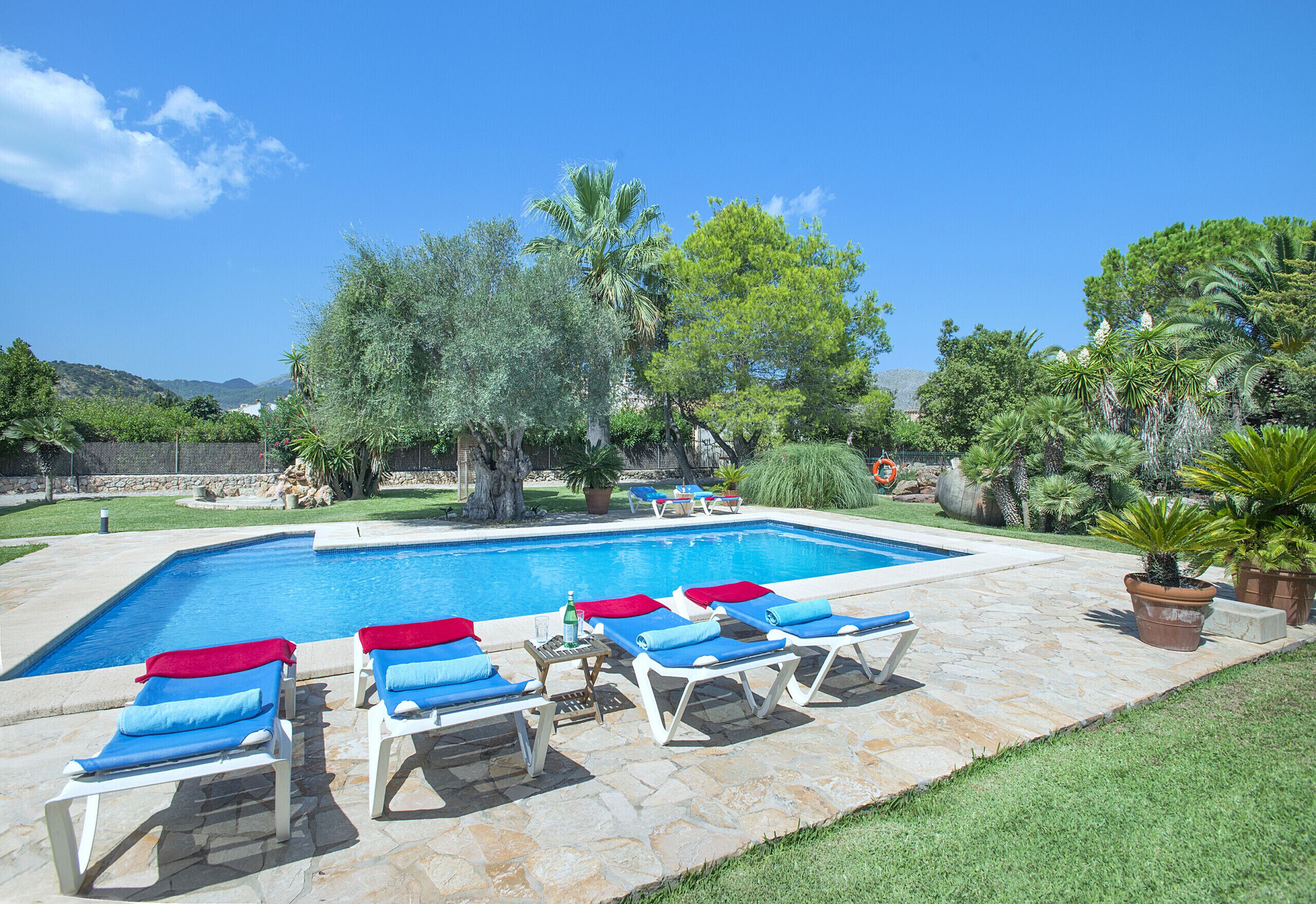 A swimming pool with lounge chairs and potted plants.
