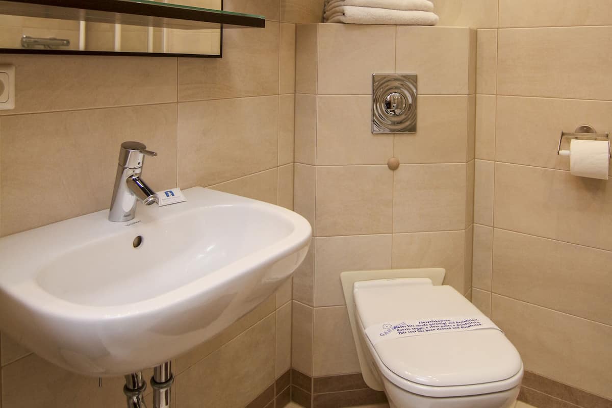 Basic Apartment | Bathroom | Shower, hair dryer, towels