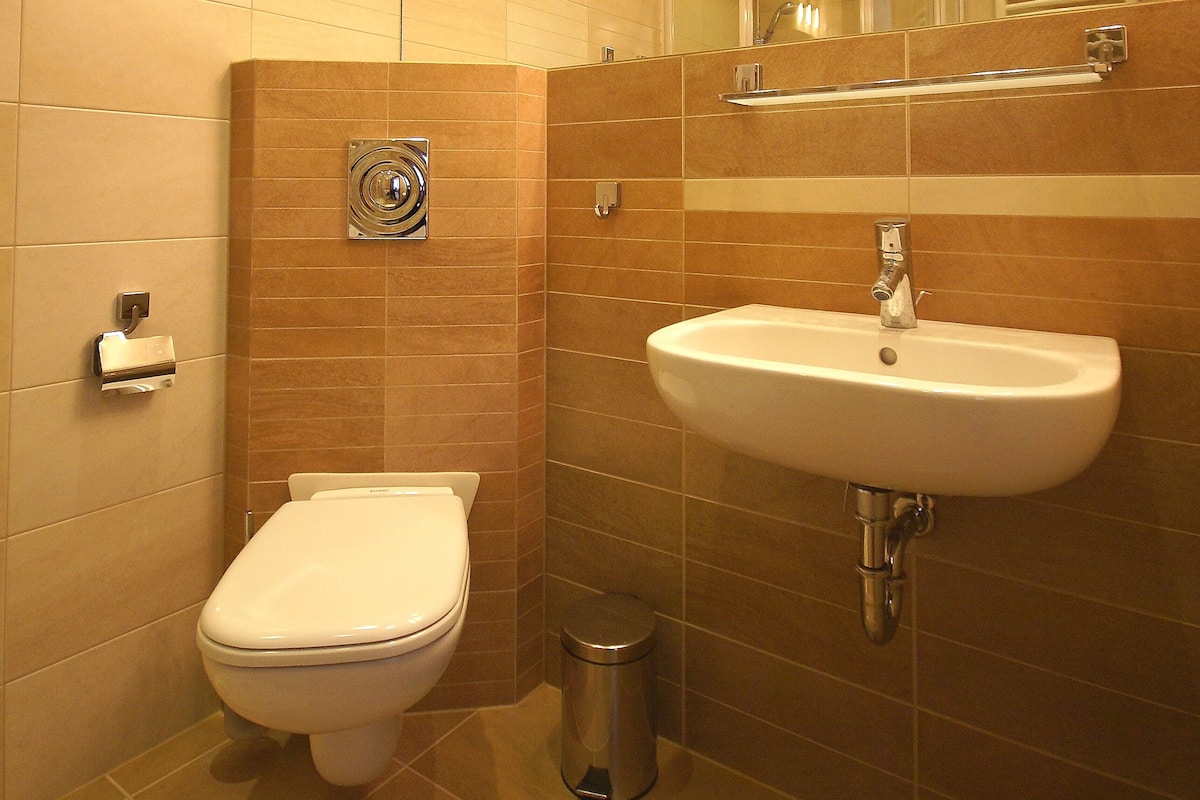 Standard Apartment | Bathroom | Shower, hair dryer, towels