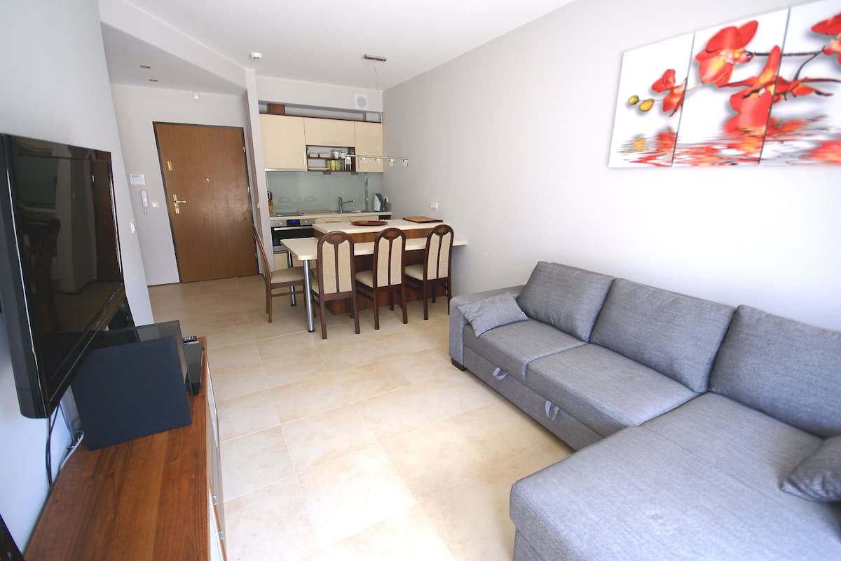 Standard Apartment | Living area | 42-inch TV with digital channels