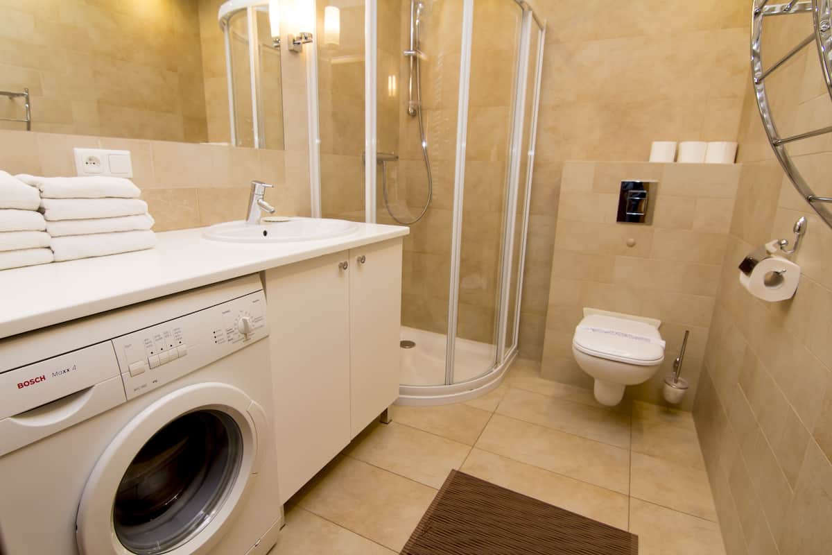 Shower, hair dryer, towels