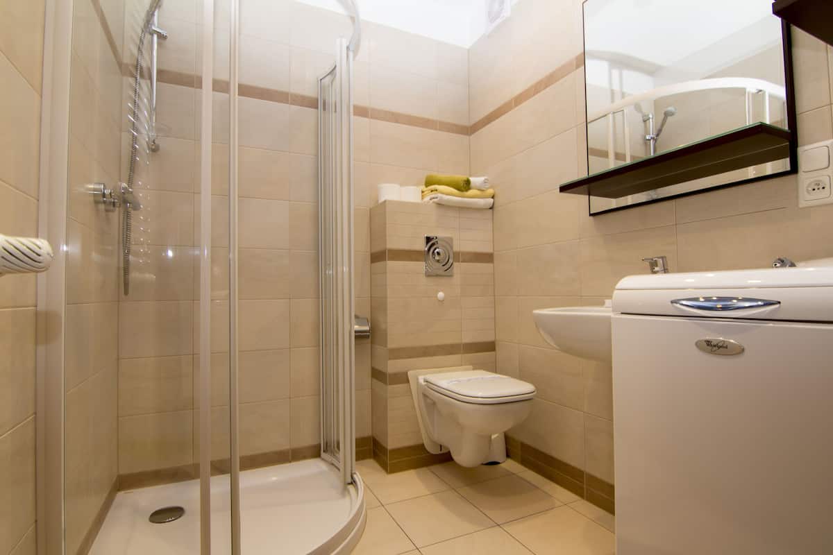 Basic Apartment | Bathroom | Shower, hair dryer, towels