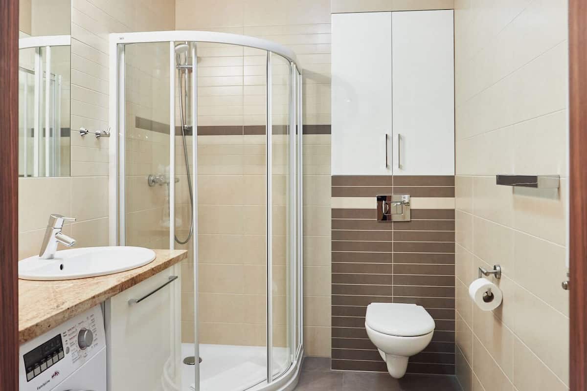 Basic Apartment | Bathroom | Shower, hair dryer, towels