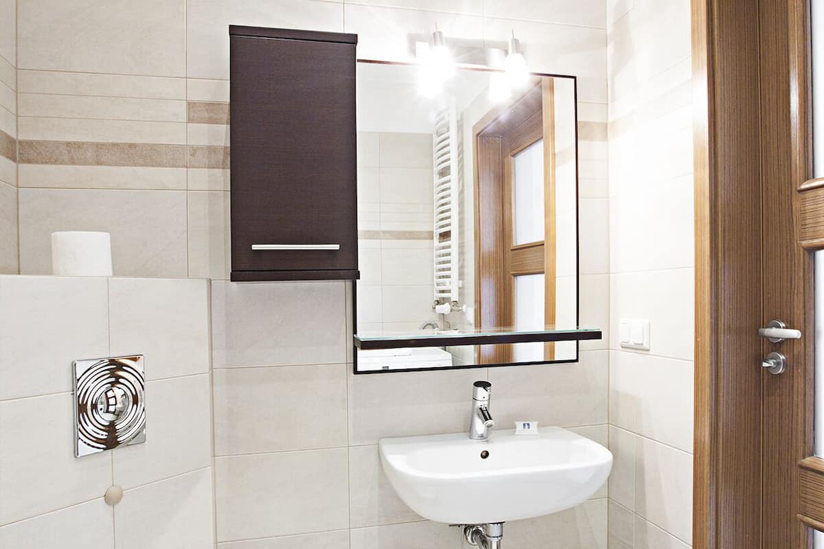 Basic Apartment | Bathroom | Shower, hair dryer, towels