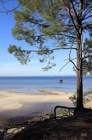 Plage à proximité
