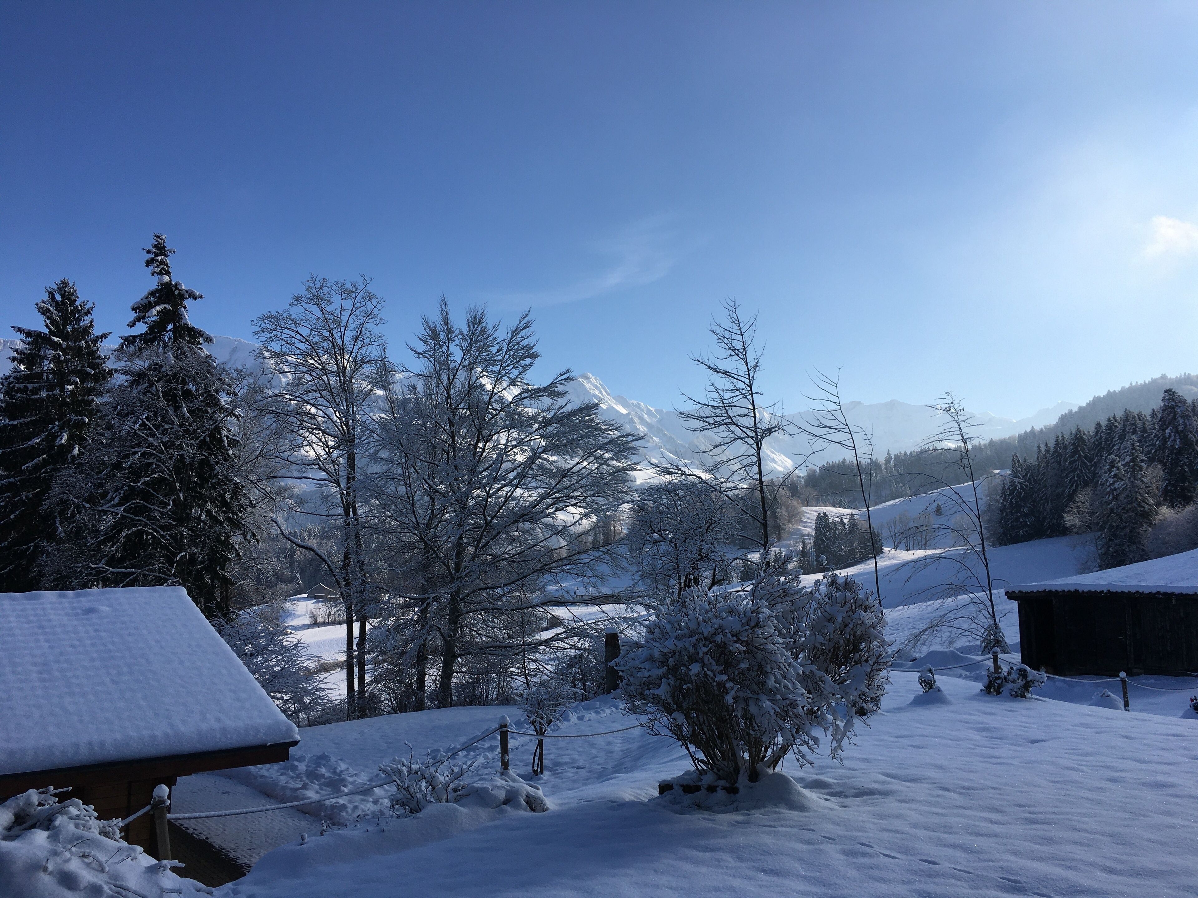 Een besneeerd landschap met een houten hut en met sneeuw bedekte bomen.