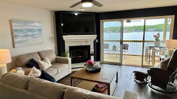 Smart TV, chimenea, reproductor de DVD y libros