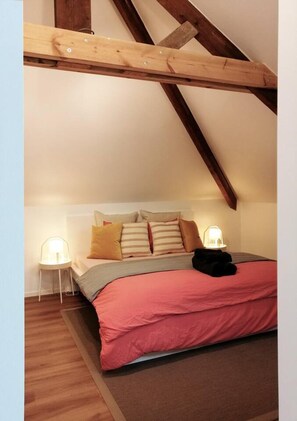 Apartment | 1 bedroom, iron/ironing board, free WiFi, bed sheets - Amazing Loft in Namur (Namur)