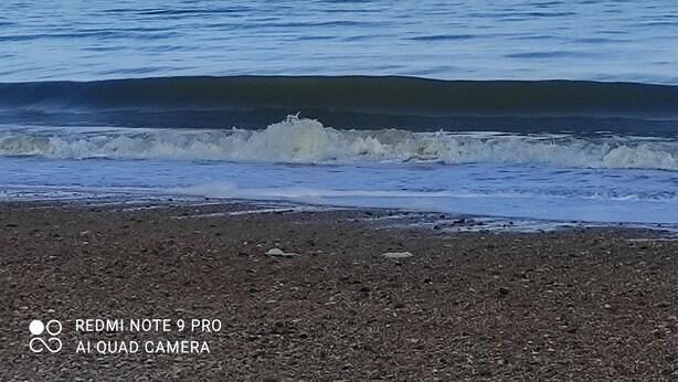 海滩