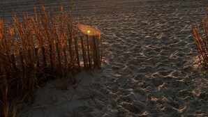 Une plage où le soleil se couche à l’horizon, avec un sol sablonneux et une végétation clairsemée.