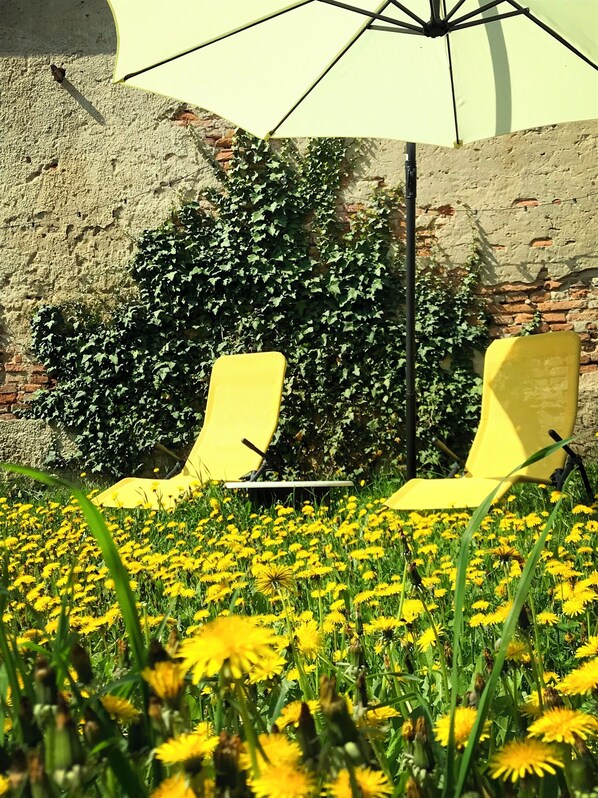 المنطقة المحيطة بالمنشأة