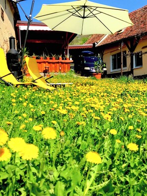 المنطقة المحيطة بالمنشأة