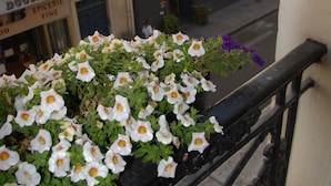A balcony with a flower planter.