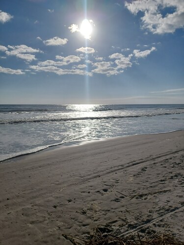 Seahorse Cottage Bungalow - Only 7 Blocks from the Beach