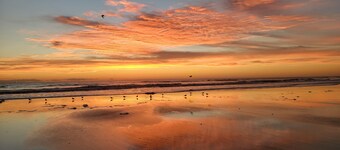 Seahorse Cottage Bungalow - Only 7 Blocks from the Beach